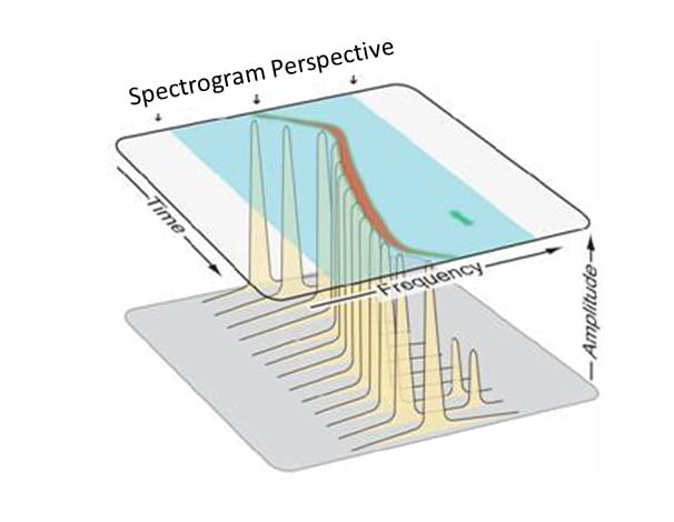 1_Spectrogram%20example.jpg
